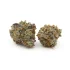 Tahoe Cream | Smalls