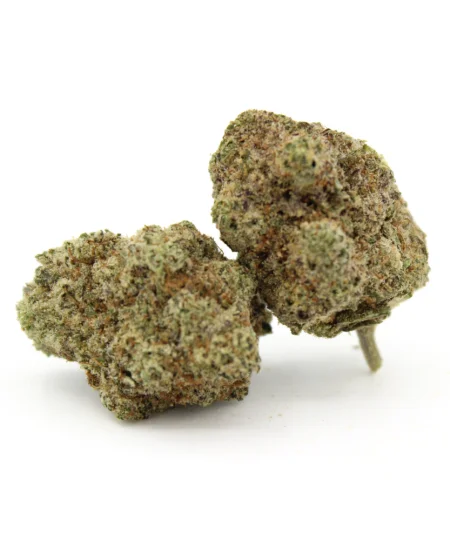 True Gold OG