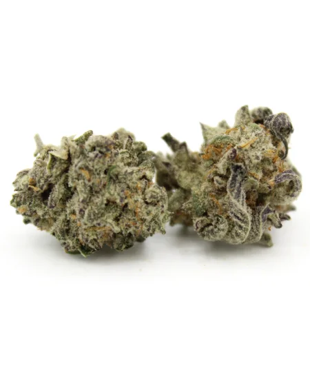 Peach Crème Gelato